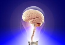 Les 3 Meilleurs Jeux pour Stimuler votre Cerveau et Améliorer votre Mémoire