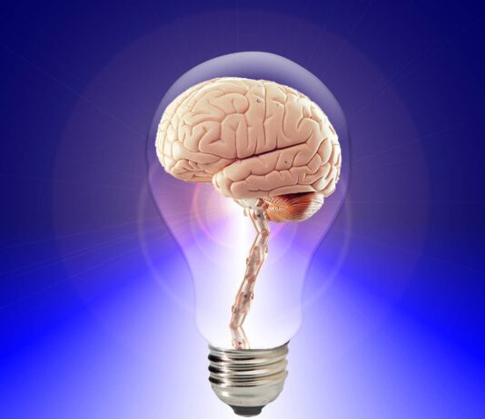 Les 3 Meilleurs Jeux pour Stimuler votre Cerveau et Améliorer votre Mémoire